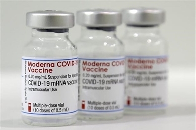 越南批准紧急使用新冠疫苗Moderna